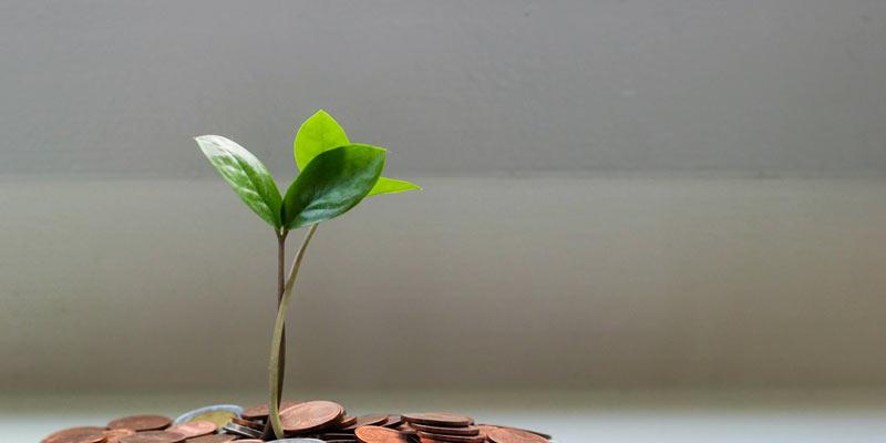 Hilfe für den Verband