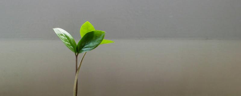 Hilfe für den Verband